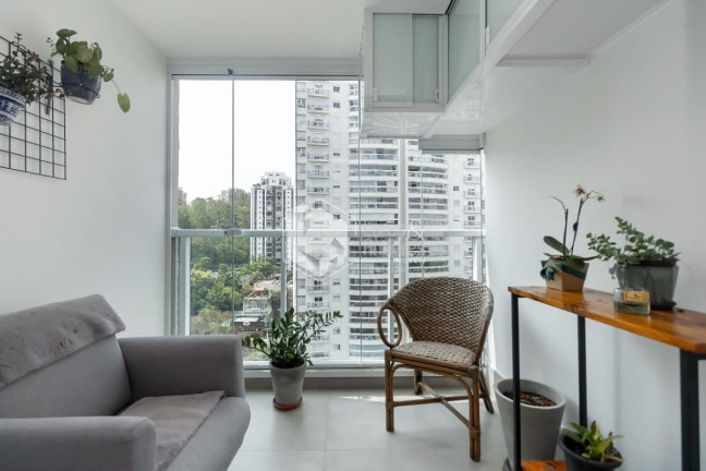 Imagem Apartamento com 2 Quartos à Venda, 57 m² em Vila Andrade - São Paulo Imagem Apartamento com 2 Quartos à Venda, 57 m² em Vila Andrade - São Paulo