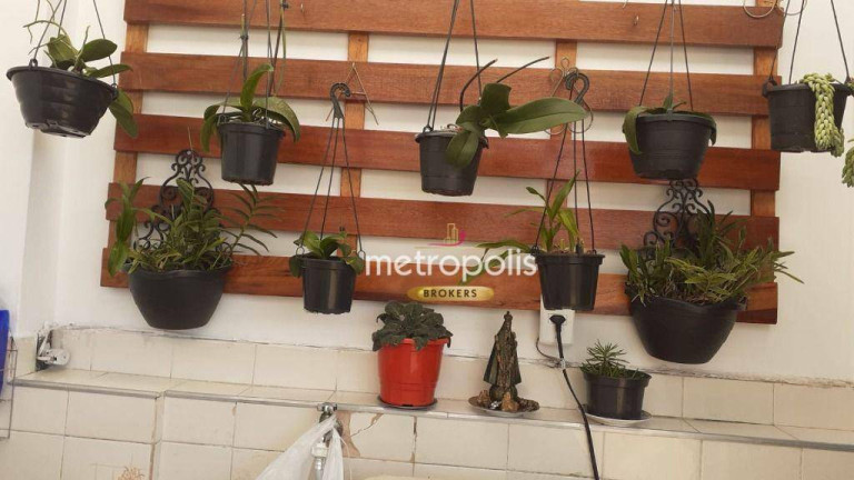 Imagem Sobrado com 3 Quartos à Venda, 250 m² em Osvaldo Cruz - São Caetano Do Sul Imagem Sobrado com 3 Quartos à Venda, 250 m² em Osvaldo Cruz - São Caetano Do Sul