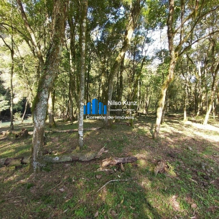 Imagem Chácara à Venda, 120.000 m² em Bento Gonçalves Imagem Chácara à Venda, 120.000 m² em Bento Gonçalves