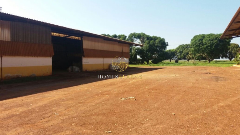 Imagem Imóvel com 3 Quartos à Venda, 57.000 m² em Zona Rural - Santana Do Araguaia Imagem Imóvel com 3 Quartos à Venda, 57.000 m² em Zona Rural - Santana Do Araguaia