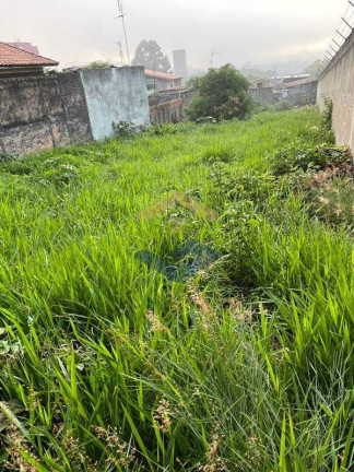 Imagem Terreno à Venda, 420 m² em Vila Santa Terezinha - Várzea Paulista Imagem Terreno à Venda, 420 m² em Vila Santa Terezinha - Várzea Paulista