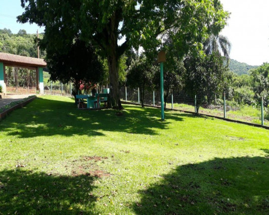 Imagem Imóvel com 3 Quartos à Venda,  em Linha Olinda - Nova Petrópolis