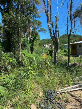 Imagem Terreno à Venda, 266 m² em Zimbros - Bombinhas Imagem Terreno à Venda, 266 m² em Zimbros - Bombinhas