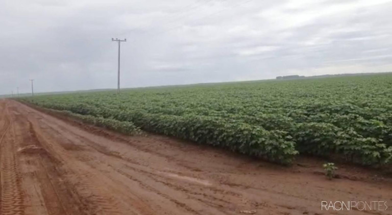 Imagem Fazenda à Venda, 34.060.000 m² em Zona Rural - Novo São Joaquim