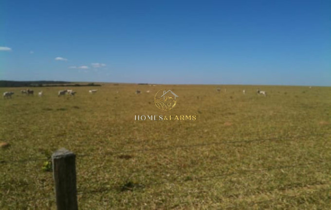 Imagem Imóvel com 3 Quartos à Venda, 7.546 m² em Zona Rural - Nobres Imagem Imóvel com 3 Quartos à Venda, 7.546 m² em Zona Rural - Nobres