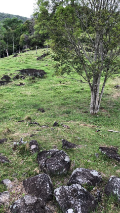 Imagem Terreno à Venda, 10.000 m² em Macacu - Garopaba Imagem Terreno à Venda, 10.000 m² em Macacu - Garopaba