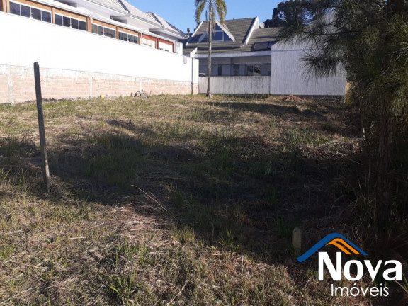 Imagem Imóvel à Venda, 450 m² em Vila Germânia - Nova Petrópolis