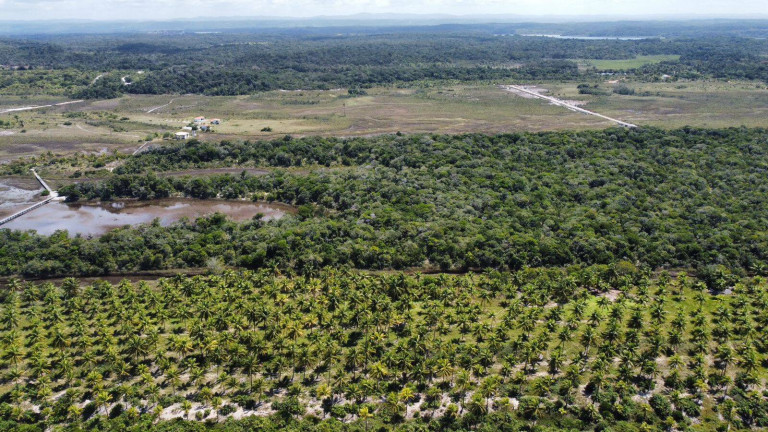 Imagem Chácara à Venda, 20.000 m² em Marau Imagem Chácara à Venda, 20.000 m² em Marau