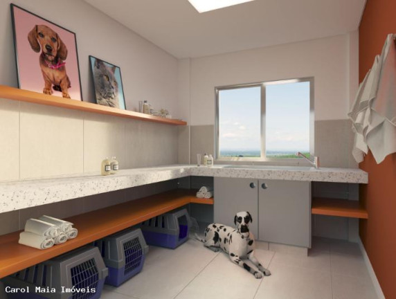 Imagem Apartamento com 2 Quartos à Venda, 46 m² em Santo Antônio - Vespasiano Imagem Apartamento com 2 Quartos à Venda, 46 m² em Santo Antônio - Vespasiano