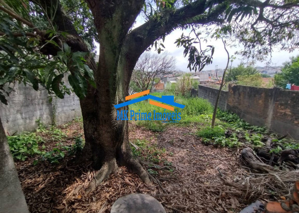 Terreno à Venda, 446 m² em Vila Nhocune - São Paulo