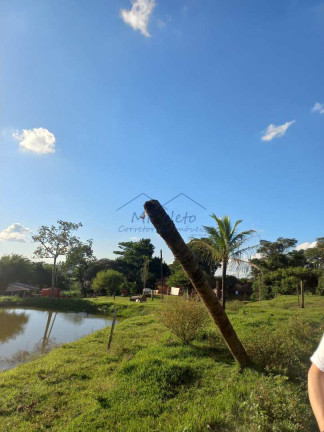 Imagem Fazenda à Venda, 65.340 m² em Bonfim - Pirassununga