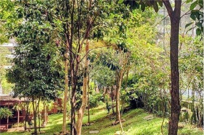 Imagem Apartamento com 4 Quartos à Venda, 208 m² em Vila Suzana - São Paulo Imagem Apartamento com 4 Quartos à Venda, 208 m² em Vila Suzana - São Paulo