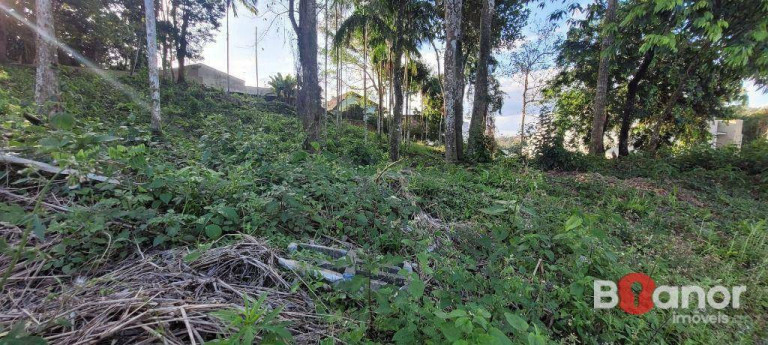 Imagem Terreno à Venda, 594 m² em Escola Agrícola - Blumenau Imagem Terreno à Venda, 594 m² em Escola Agrícola - Blumenau