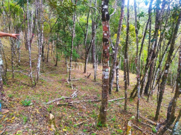 Imagem Imóvel com 1 Quarto à Venda, 5.000 m² em Casa Montanha - Delfim Moreira