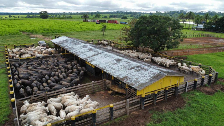 Imagem Fazenda à Venda, em Juara Imagem Fazenda à Venda, em Juara