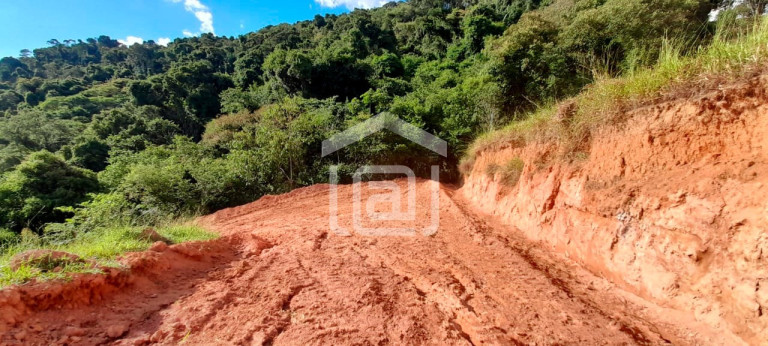 Imagem Imóvel com 1 Quarto à Venda, 44.000 m² em Roseira - Bandeira Do Sul