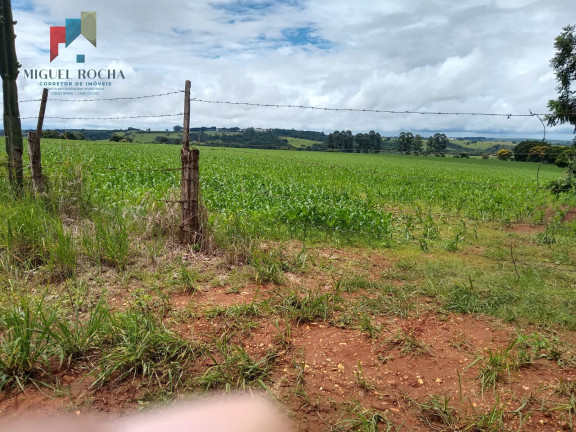 Imagem Imóvel com 1 Quarto à Venda, 484.000 m² em Centro - Tatuí Imagem Imóvel com 1 Quarto à Venda, 484.000 m² em Centro - Tatuí