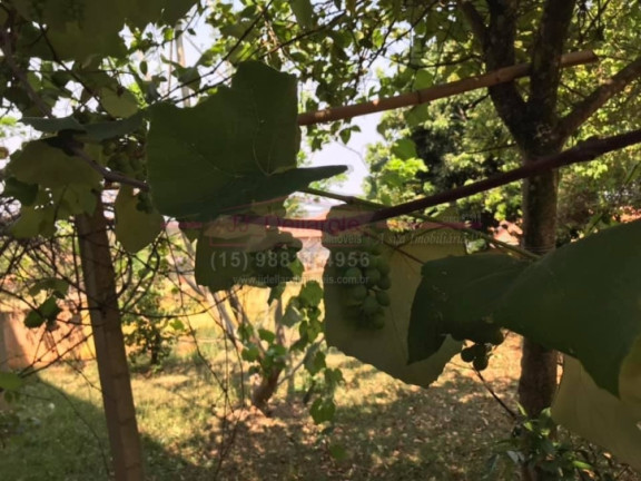 Imagem Chácara com 3 Quartos à Venda, 1 m² em Nova Rheata - Boituva Imagem Chácara com 3 Quartos à Venda, 1 m² em Nova Rheata - Boituva