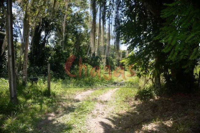 Imagem Terreno à Venda, 3.696 m² em Barranco Alto - Caraguatatuba