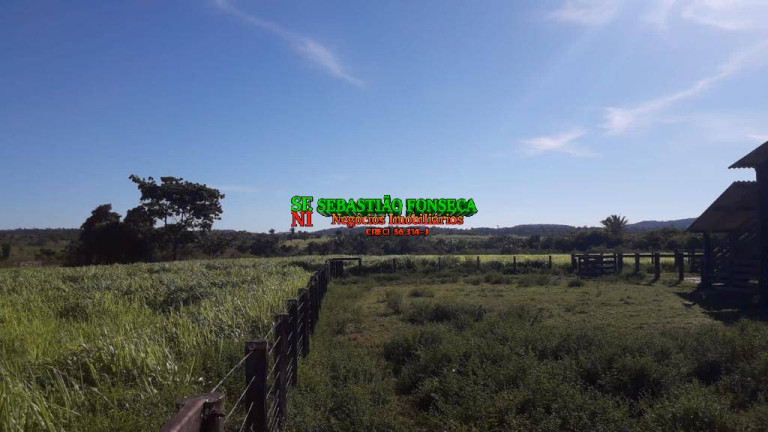Imagem Fazenda à Venda, 1.200 m² em área Rural De Xinguara - Xinguara