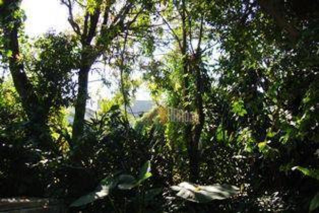 Imagem Terreno à Venda, 660 m² em Jardim Penha - São Paulo Imagem Terreno à Venda, 660 m² em Jardim Penha - São Paulo