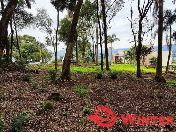 Imagem Terreno à Venda, 3 m² em Morro Das Batatas - Feliz Imagem Terreno à Venda, 3 m² em Morro Das Batatas - Feliz