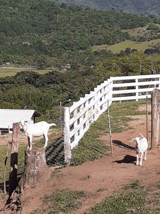 Imagem Imóvel à Venda, 77.000 m² em Ratones - Florianópolis Imagem Imóvel à Venda, 77.000 m² em Ratones - Florianópolis