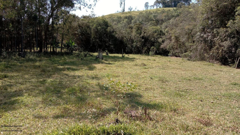 Imagem Imóvel com 3 Quartos à Venda, 100 m² em Coroado - Caldas