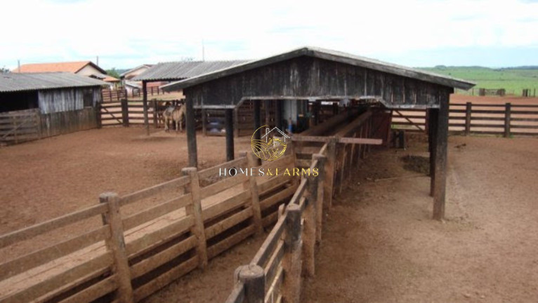 Imagem Imóvel com 4 Quartos à Venda, 103.000 m² em Zona Rural - Porto Alegre Do Norte Imagem Imóvel com 4 Quartos à Venda, 103.000 m² em Zona Rural - Porto Alegre Do Norte