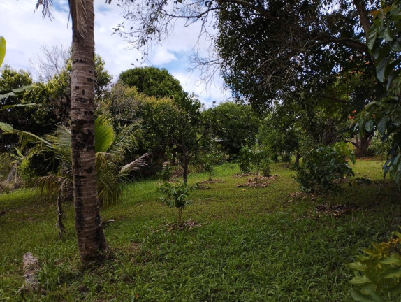 Imagem Terreno à Venda, 1 m² em Jardim Cananéia - Pilar Do Sul Imagem Terreno à Venda, 1 m² em Jardim Cananéia - Pilar Do Sul