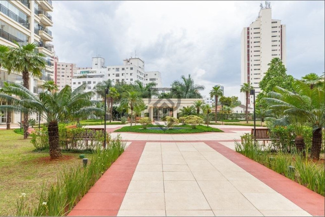 Imagem Apartamento com 4 Quartos à Venda, 277 m² em Aclimação - São Paulo Imagem Apartamento com 4 Quartos à Venda, 277 m² em Aclimação - São Paulo
