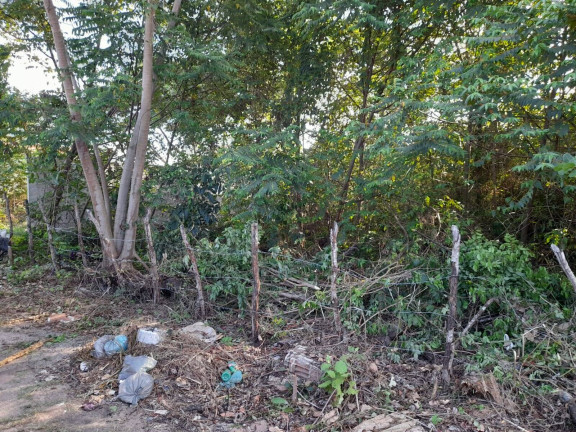 Imagem Terreno à Venda, 496 m² em Praia Da Pipa - Tibau Do Sul Imagem Terreno à Venda, 496 m² em Praia Da Pipa - Tibau Do Sul