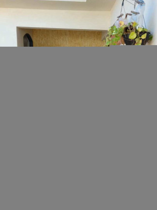 Imagem Casa com 3 Quartos à Venda, 900 m² em Centro - Pirassununga
