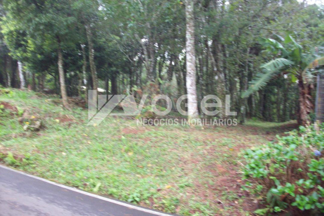 Imagem Imóvel à Venda, 633 m² em Borrusia - Osorio Imagem Imóvel à Venda, 633 m² em Borrusia - Osorio