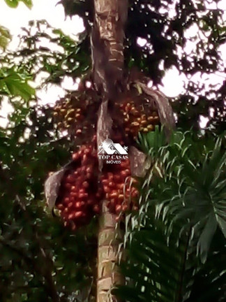 Imagem Fazenda à Venda, 96.000 m² em Serra Da Cruz - Macaé Imagem Fazenda à Venda, 96.000 m² em Serra Da Cruz - Macaé