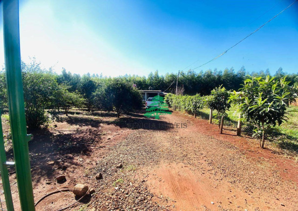 Chácara com 3 Quartos à Venda, 3.870 m² em Aparecidinha - Santa Terezinha De Itaipu