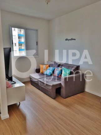 Imagem Apartamento com 2 Quartos à Venda, 65 m² em Vila Guilherme - São Paulo Imagem Apartamento com 2 Quartos à Venda, 65 m² em Vila Guilherme - São Paulo