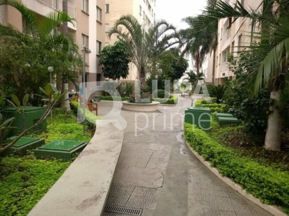 Imagem Apartamento com 3 Quartos à Venda, 60 m² em Vila Guilherme - São Paulo