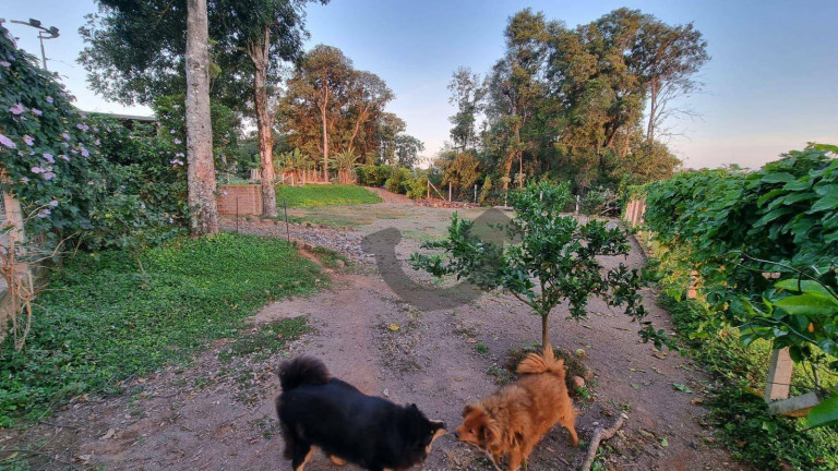 Imagem Terreno à Venda, 1.182 m² em Country - Santa Cruz Do Sul Imagem Terreno à Venda, 1.182 m² em Country - Santa Cruz Do Sul