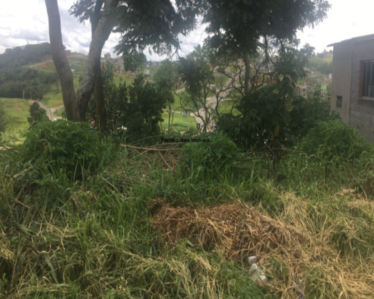 Terreno à Venda, 250 m² em Terra Preta (terra Preta) - Mairiporã