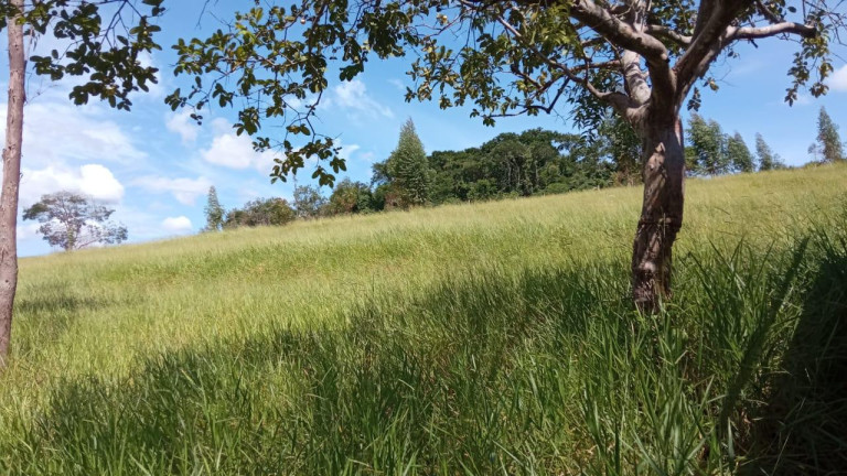 Imagem Chácara à Venda, 2 m² em Rural - Arandu Imagem Chácara à Venda, 2 m² em Rural - Arandu