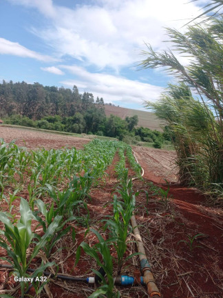 Imagem Chácara com 3 Quartos à Venda, 42.000 m² em Arapongas Imagem Chácara com 3 Quartos à Venda, 42.000 m² em Arapongas
