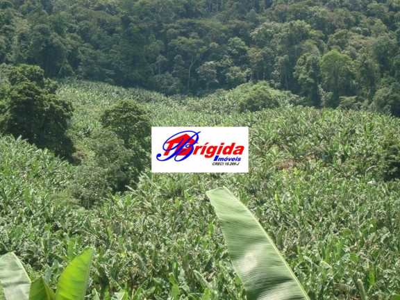 Imagem Fazenda à Venda, 275 m² em Centro - Jacupiranga Imagem Fazenda à Venda, 275 m² em Centro - Jacupiranga