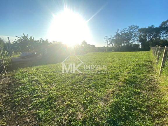 Imagem Terreno à Venda, 1.400 m² em Vila São Tiago - Piraquara Imagem Terreno à Venda, 1.400 m² em Vila São Tiago - Piraquara