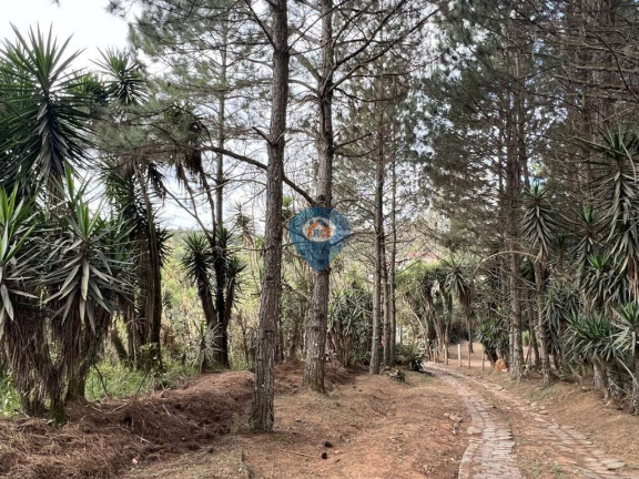 Imagem Terreno à Venda, 18.455 m² em Taboleiro Verde - Cotia Imagem Terreno à Venda, 18.455 m² em Taboleiro Verde - Cotia