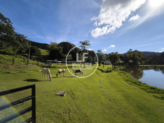 Imagem Chácara com 9 Quartos à Venda, 82 m² em Calcilândia - Goiás