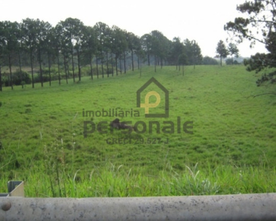 Imagem Imóvel à Venda, 50.000 m² em Brigadeiro Tobias - Sorocaba