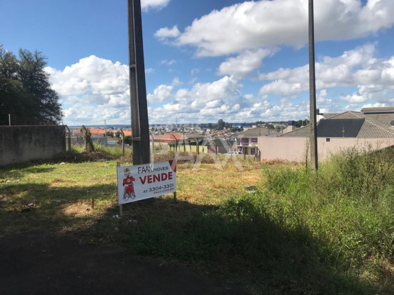 Imagem Terreno à Venda, 325 m² em Alto Da Xv - Guarapuava Imagem Terreno à Venda, 325 m² em Alto Da Xv - Guarapuava