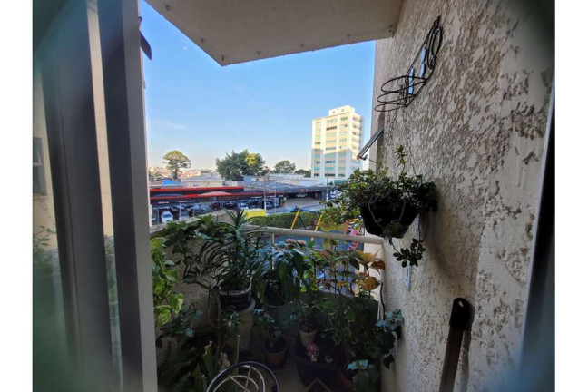 Imagem Apartamento com 2 Quartos à Venda, 59 m² em Jardim Marajoara - São Paulo Imagem Apartamento com 2 Quartos à Venda, 59 m² em Jardim Marajoara - São Paulo