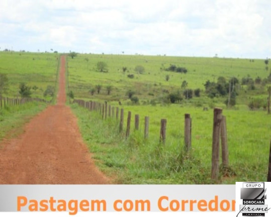Imagem Imóvel à Venda, 427.000 m² em Marabá - Marabá Imagem Imóvel à Venda, 427.000 m² em Marabá - Marabá